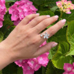 Ring Amorilla Silber