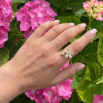 Ring Amorilla or