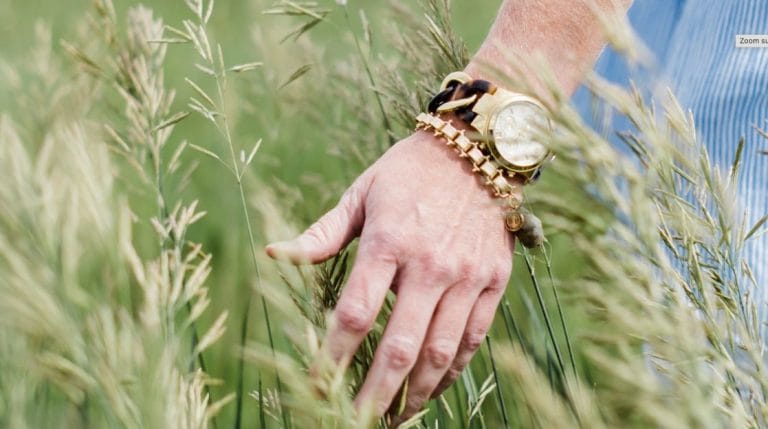 Blog Wie man die Anzeichen von Stress-Nesselsucht erkennt und schnell handelt